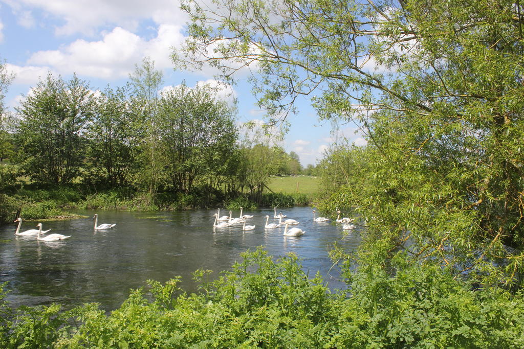 The Swan At Stoford Hotel Stapleford  Exterior foto